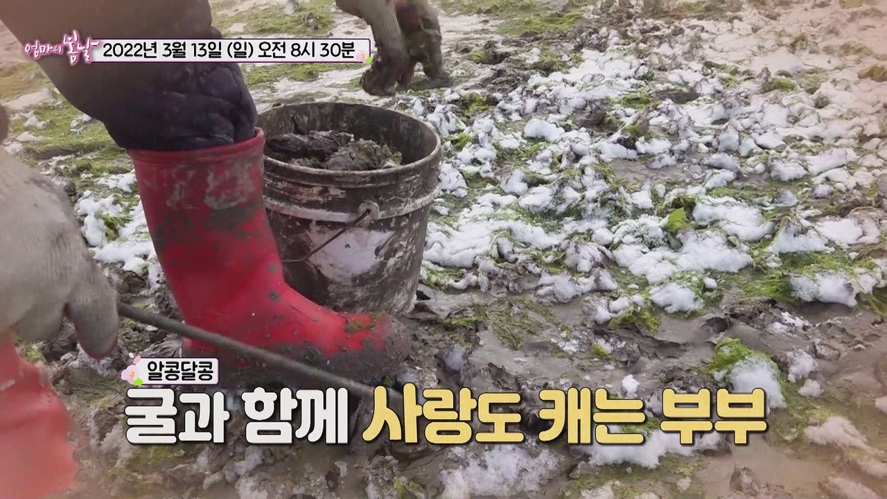 무안 앞바다 신사와 아가씨_엄마의 봄날 339회 예고 TV CHOSUN 220313 방송
