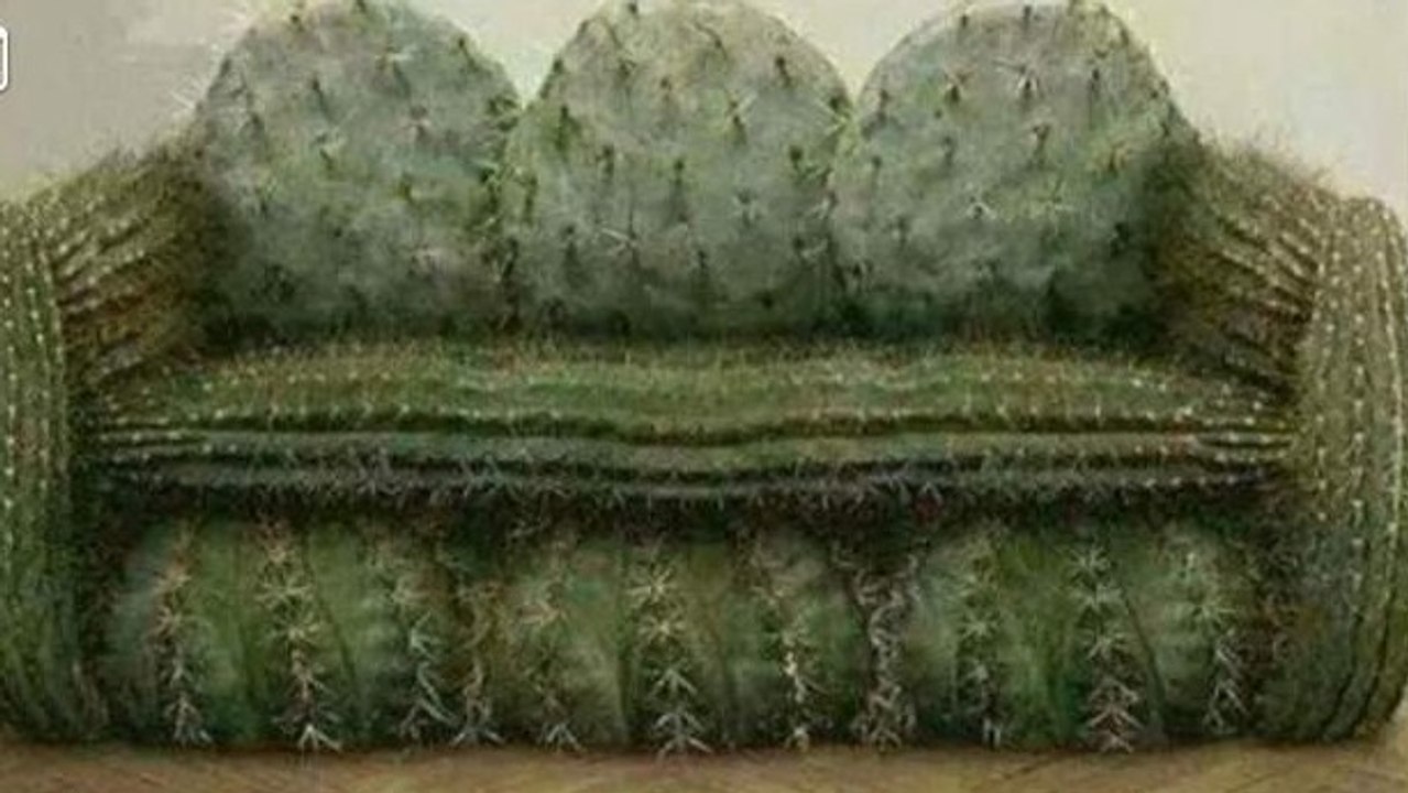 Le Bon Coin : il vend un canapé sur lequel vous n'êtes pas prêt de vous asseoir