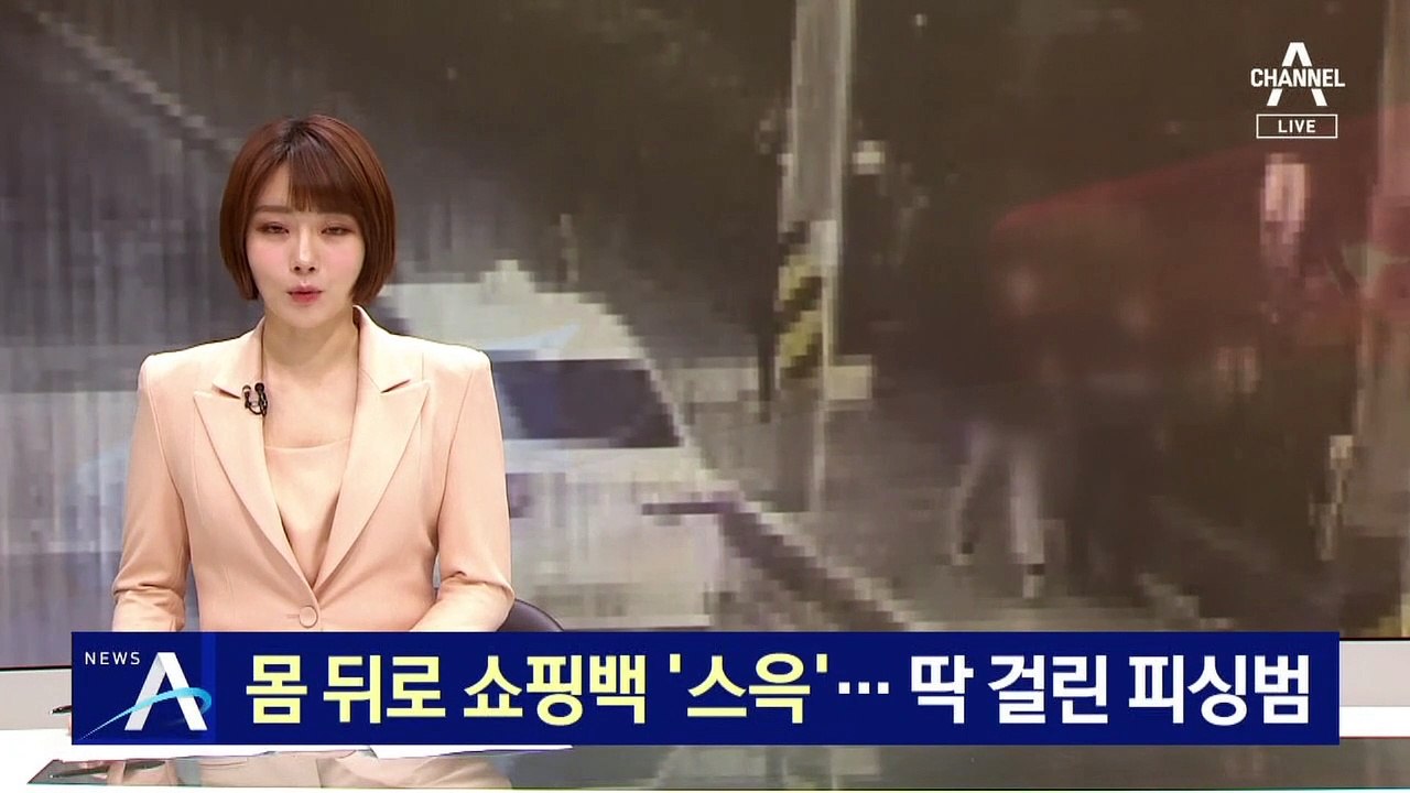 순찰차 보자 몸 뒤로 쇼핑백 ‘스윽’…딱 걸린 보이스피싱범