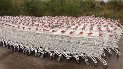 Leboncoin : un lot de 160 chariots pour faire ses courses