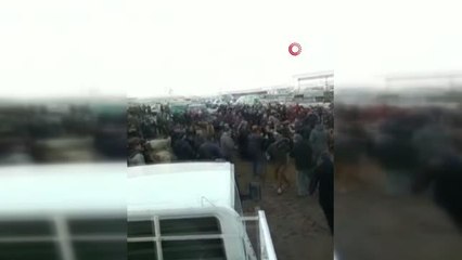 Son dakika haberi: Hayvan pazarında sopalı alacak verecek kavgası kamerada