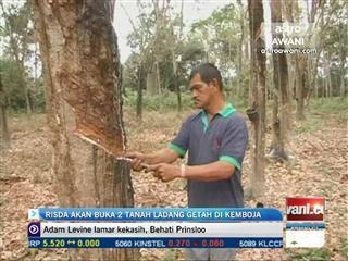 RISDA akan buka 2 tanah ladang getah di Kemboja