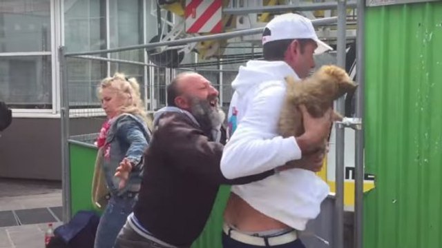 Une association de défense des animaux vole le chien d'un SDF