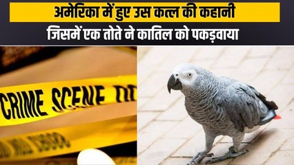 अमेरिका में हुए उस कत्ल की कहानी, जिसमें तोते की गवाही से कातिल तक पहुंची थी पुलिस