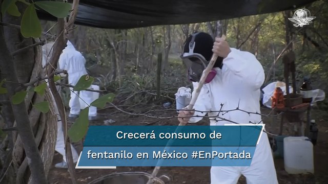 Advierten alza en consumo de drogas sintéticas #EnPortada