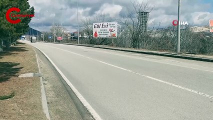 Köpekten korkup yola fırlamıştı: Üniversiteli Rabia davasında yeni gelişme