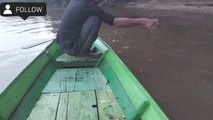 Giant Mystus in Borneo River fishing adventure