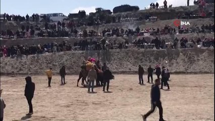 Soğuğa rağmen deve güreşleri nefes kesti