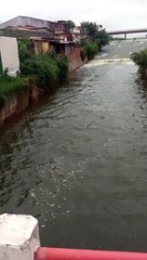 Açude Grande de Cajazeiras volta a chover, e moradores comemoram: "É uma riqueza"