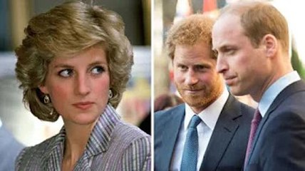 Harry and William’s ‘broken’ pact with Diana claim laid bare: ‘Promise to keep it’