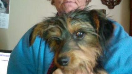 Le Bon Coin : une annonce pour un chien qui aurait mérité une relecture