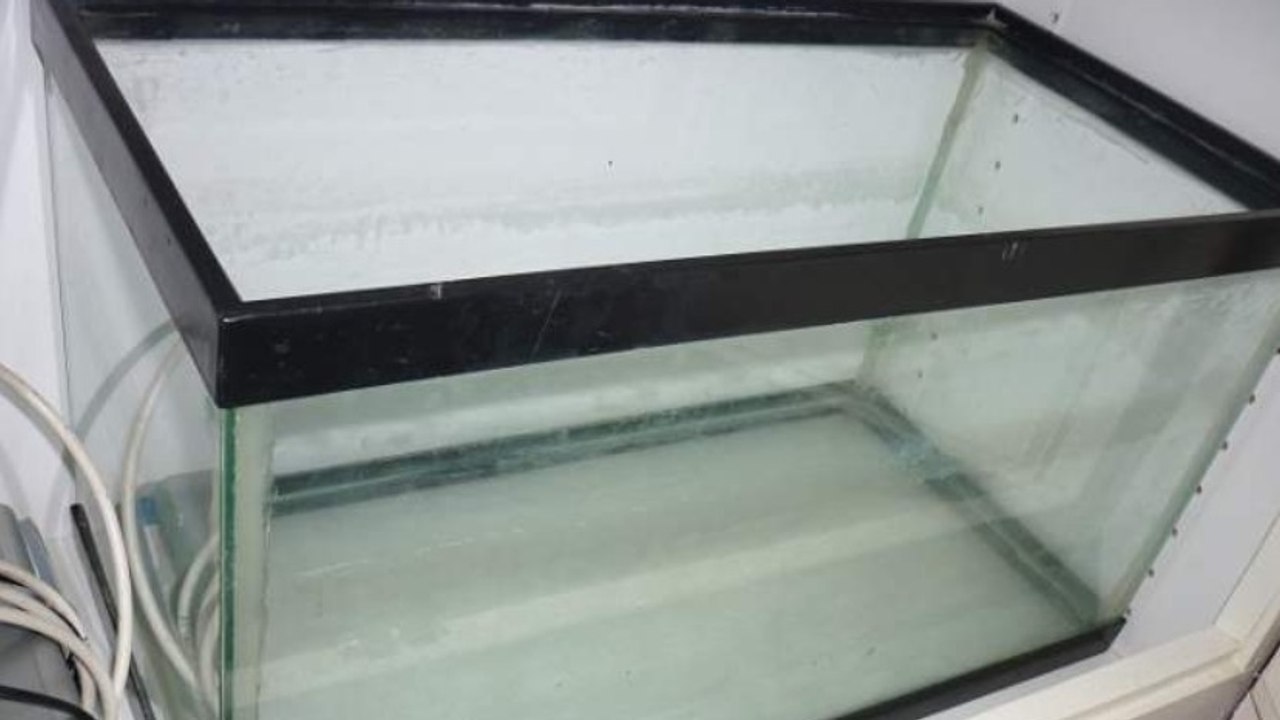 Le Bon Coin : il vend un "Aquarium/funerarium", quand un mot peut en cacher un autre