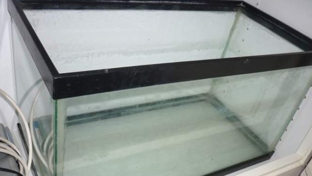 Le Bon Coin : il vend un Aquarium/funerarium , quand un mot peut en cacher un autre