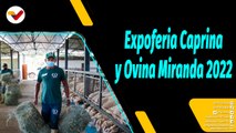 Al Aire | Expoferia Caprina y Ovina de Miranda 2022 se realizará en marzo