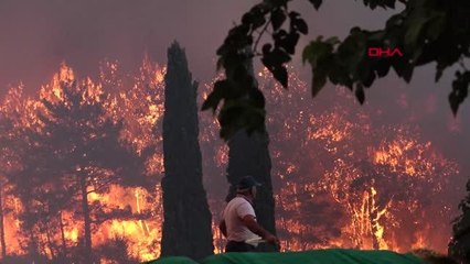 MURATPAŞA, MANAVGAT'TA YANAN ORMANLARI DRONLA TOHUMLUYOR