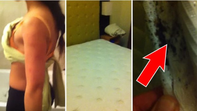 New York : ils filment le lit de leur chambre d'hôtel infesté de punaises