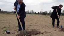 Joël Guin, président du Grand Avignon, plante un pin du conservatoire de ressources génétiques forestières sur le site de la Saignonne à Avignon