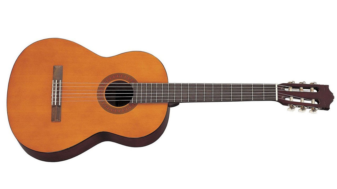 Le Bon Coin : il vend sa guitare, car il n'a pas eu le courage d'apprendre à en jouer