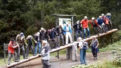 Des randonneurs chutent en faisant de la balançoire sur un tronc d'arbre