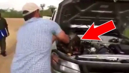 Il découvre un python en ouvrant le capot de sa voiture