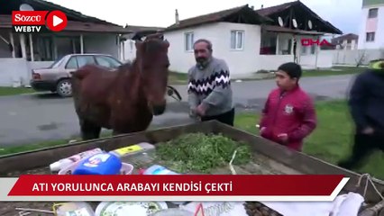 Atı yorulunca arabayı kendisi çekti