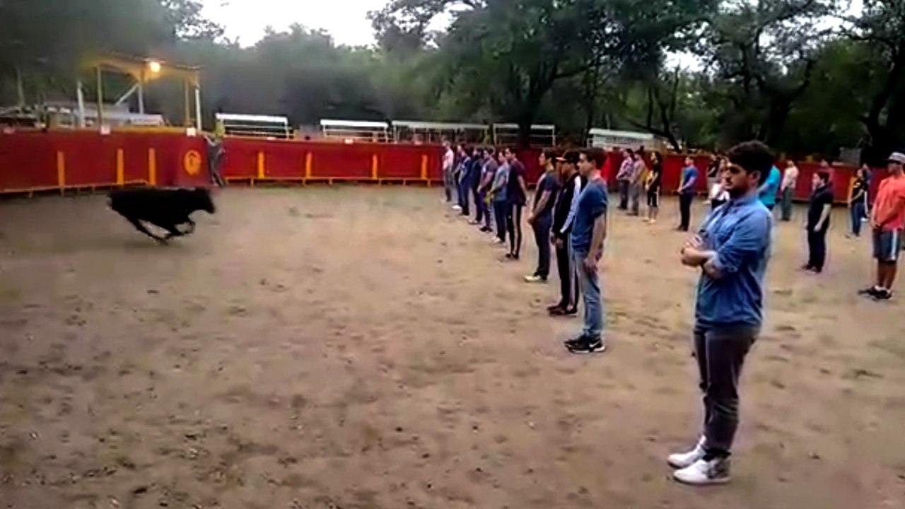 Des étudiants mexicains restent immobiles dans une arène face à un taureau