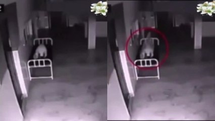 Cette vidéo filmée par une caméra de surveillance dans un hôpital est-elle la preuve de l'existence des esprits ?