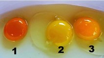 Alimentation : de quelle couleur doit être un oeuf de poule de qualité ?