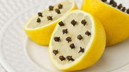 Comment éloigner les mouches ?