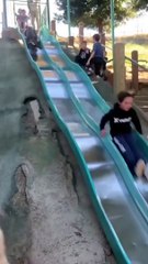 Chơi cầu trượt không (Play the slide) - Pet Island