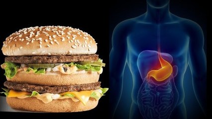 Que se passe-t-il dans votre corps après avoir mangé un Big Mac ?