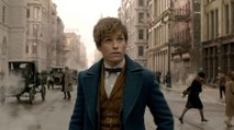 Les Animaux Fantastiques : encore plus de magie dans la nouvelle bande-annonce