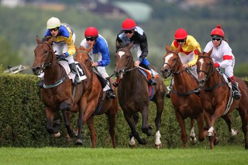 Résultat Quinté du jour : découvrez l'arrivée du 21 avril 2017