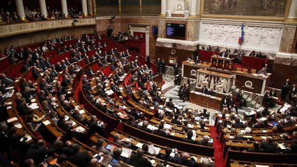 Députés : une pétition visant à établir un salaire médian aux députés a été lancée