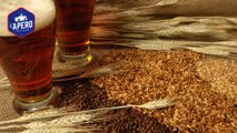 La Kylte : Du malt de whisky dans une bière aux accents écossais