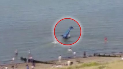 Un avion s'écrase dans la mer pendant un show aérien, des spectateurs sauvent le pilote