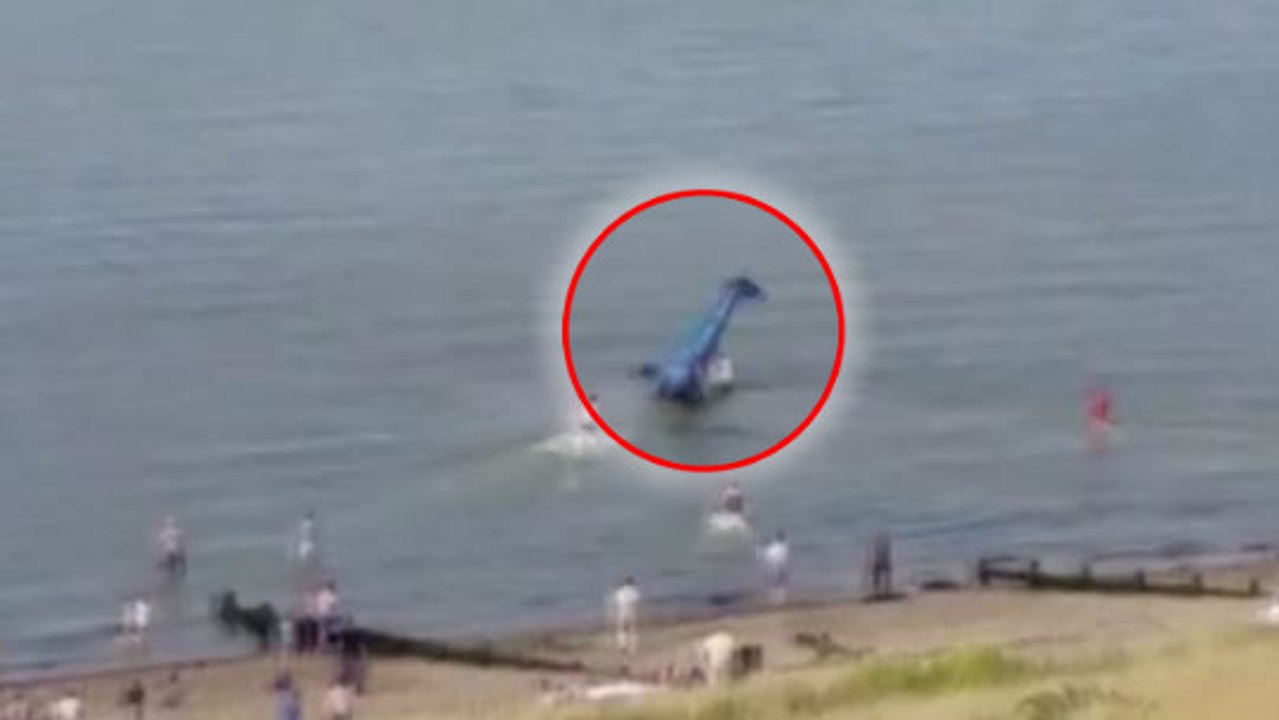 Un avion s'écrase dans la mer pendant un show aérien, des spectateurs sauvent le pilote
