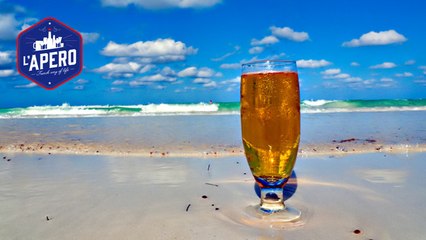 Job de rêve : être payé pour voyager et boire de la bière