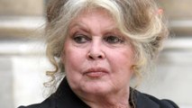 Brigitte Bardot : ses propos extrêmement violents à l'encontre de la nouvelle génération d'acteurs français