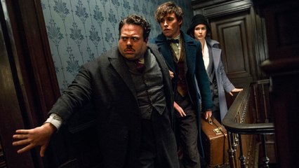 Les Animaux Fantastiques : la bande-annonce finale du film événement