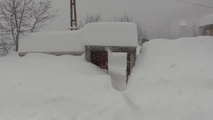 Kastamonu'da araçlar 1,5 metreye yaklaşan karın altında kaldı