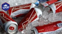 Une usine de fausses bières Budweiser vient d'être découverte en Chine