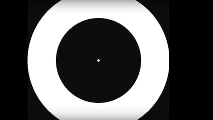 L'hallucination visuelle universelle pour mieux comprendre la maladie de Parkinson