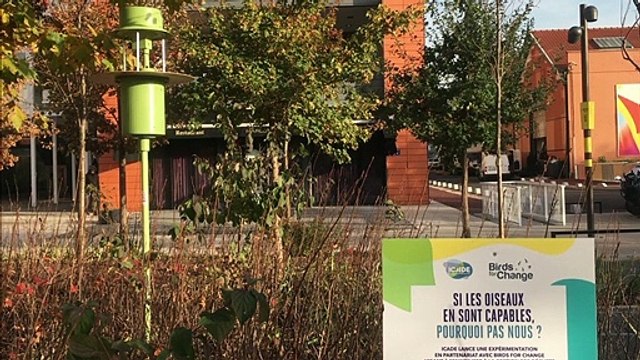 Jules Mollaret, cofondateur de Birds For Change, la première solution de collaboration inter espèces.