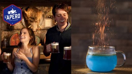 Un bar inspiré d'Harry Potter ouvre ses portes