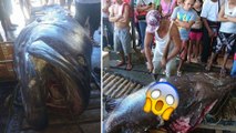 Un pêcheur philippin fait une découverte mystérieuse à l'intérieur d