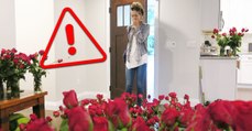 Saint-Valentin : L'intégralité des roses présentes dans les commerces contiennent des pesticides interdits