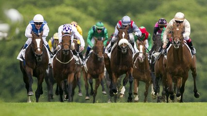 Video herunterladen: Pronostics Quinté du 28 février 2017 : Les favoris de la course de demain