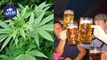 Les élèves intelligents sont plus susceptibles de boire de l'alcool et fumer du cannabis