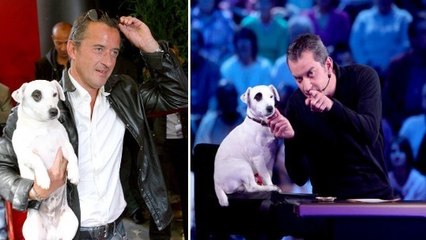 Christophe Dechavanne : voici ce qu'est devenu le petit chien blanc de l'animateur